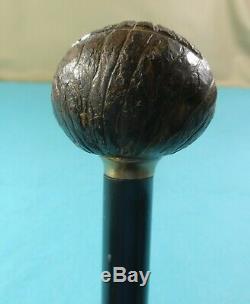 Rare Native Indian American Novelty Walking Stick Carved Coquilla Nut Chief 1885