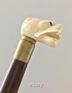 Rare Old Hand Carved Dog / Dragon Head Handle Beech Walking Cane Stick