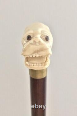 Rare Old Hand Carved Dog / Dragon Head Handle Beech Walking Cane Stick