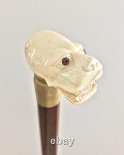 Rare Old Hand Carved Dog / Dragon Head Handle Beech Walking Cane Stick