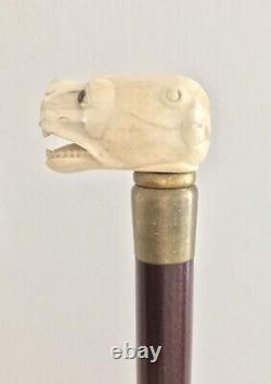 Rare Old Hand Carved Dog / Dragon Head Handle Beech Walking Cane Stick