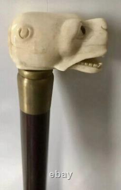 Rare Old Hand Carved Dog / Dragon Head Handle Beech Walking Cane Stick