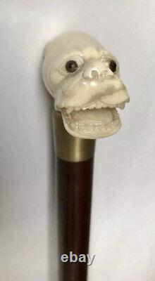 Rare Old Hand Carved Dog / Dragon Head Handle Beech Walking Cane Stick