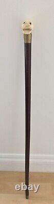 Rare Old Hand Carved Dog / Dragon Head Handle Beech Walking Cane Stick