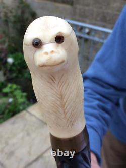 Rare Victorian Antique Walking Stick Cane Hand Carved Monkey? Animal