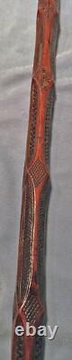 SCARCE c1800s Scratch CARVED Antique Blackthorn Stick Cane WELSH Victorian