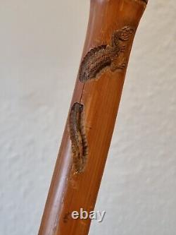 SIGNED Japanese Bamboo Walking Cane with BUG CARVINGS, various animals NICE ITEM