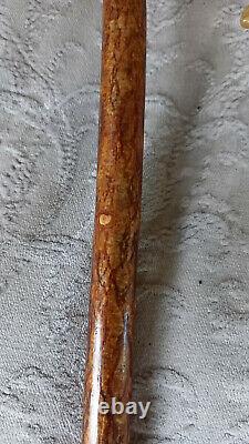 Shepherds Crook Walking Stick Carved Horn Handle With Thistle 119cm