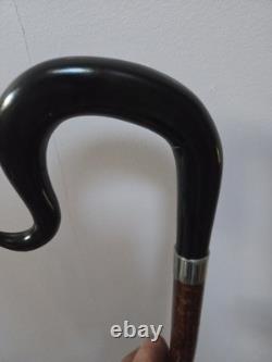 Shepherds Crook Walking Stick, Hand Carved Buffalo Horn nose up 52 Tall