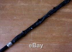 Silver Topped Bog Oak Walking Stick. Folk Art Hand Carved Snake Cane 1888