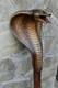 Snake Design Hand-Carved Wooden Walking Stick Handmade Cane