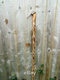 Snipe head carved by hand on spectacular hazel twister walking beating stick
