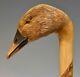 Stunning Hand Carved Goose Head Hazel Shafted 132cm Walking Stick by Ian Taylor