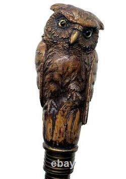 Stunning walking cane walking stick with figural owl head carving c. 1900