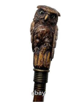 Stunning walking cane walking stick with figural owl head carving c. 1900