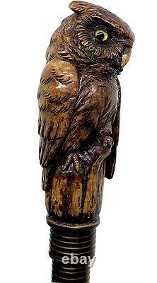 Stunning walking cane walking stick with figural owl head carving c. 1900