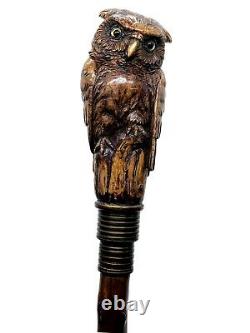 Stunning walking cane walking stick with figural owl head carving c. 1900