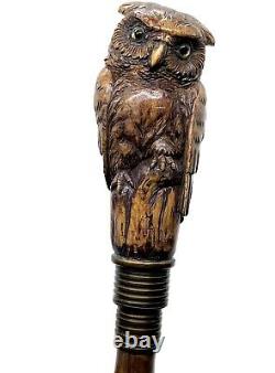 Stunning walking cane walking stick with figural owl head carving c. 1900