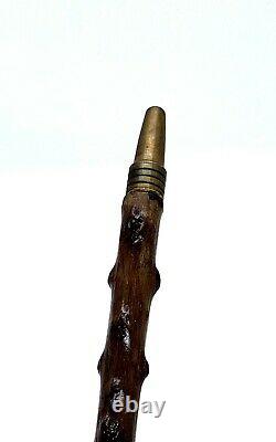 Stunning walking cane walking stick with figural owl head carving c. 1900