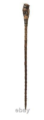 Stunning walking cane walking stick with figural owl head carving c. 1900