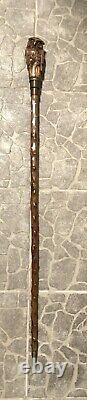 Stunning walking cane walking stick with figural owl head carving c. 1900