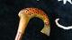 Sturdy Rams Horn Hand Carved Fish Shepherds Crook Walking Stick