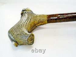 Superb Hand Carved Stag Horn/antler Badger Handle Hazel Shaft Walking Stick/cane