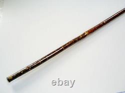 Superb Hand Carved Stag Horn/antler Badger Handle Hazel Shaft Walking Stick/cane