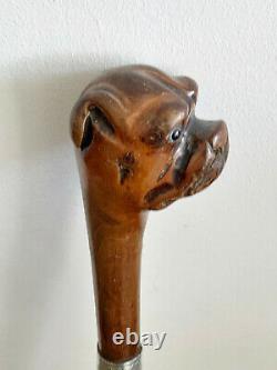 Superb Rare Antique Carved Boxer Dog Head Walking Stick/Cane HM Silver 1909