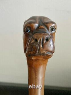 Superb Rare Antique Carved Boxer Dog Head Walking Stick/Cane HM Silver 1909