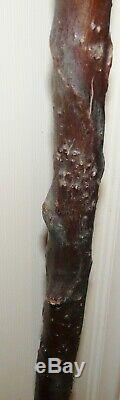 TWISTED SHILLELAGHHand CarvedHALLOWEEN WITCHES CAT TOPWood Walking Stick66