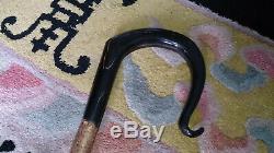 Tall Sturdy Hand Carved Buffalo Horn Curl Nose Shepherds Crook Walking Stick