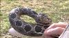 The Making Of Wood Carved Rattlesnake Walking Cane 43