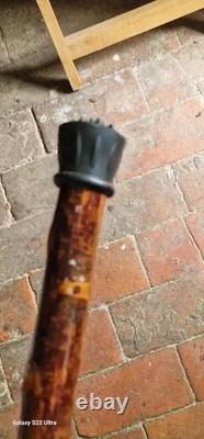 Unique hand carved walking stick/Staff