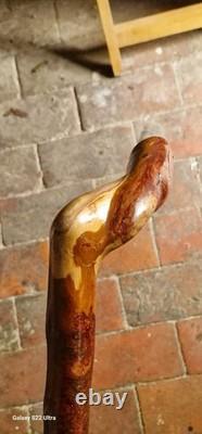 Unique hand carved walking stick/Staff