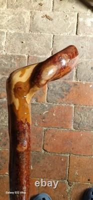 Unique hand carved walking stick/Staff
