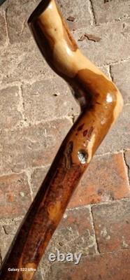 Unique hand carved walking stick/Staff