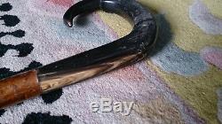 Very Rare Jacobs Ram Horn Hand Carved Sturdy Walking Stick / Shepherds Crook