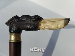 Very Unique Antique Walking Stick With Carved Dog Head Top Ever See One Like It