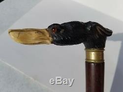 Very Unique Antique Walking Stick With Carved Dog Head Top Ever See One Like It