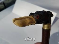 Very Unique Antique Walking Stick With Carved Dog Head Top Ever See One Like It