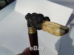 Very Unique Antique Walking Stick With Carved Dog Head Top Ever See One Like It