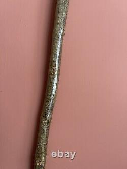 Victorian 97cm Full Size Natural Painted Carved Ducks Head Walking Stick