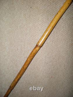 Victorian Bamboo Walking Stick Hand-Carved Top Jaguar Hunting Deer