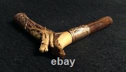 Victorian Carved Stag Walking Stick/ Parasol/ Cane Handle with Gold Filled Mounts