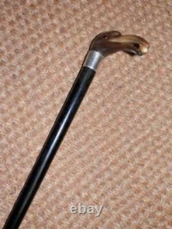 Victorian Hand-Carved Bovine Horn Heron Top Walking Stick/Cane H/M Silver 1891
