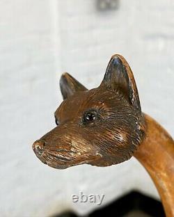 Victorian Hand-Carved Treen Fox Head Umbrella Stick/Cane-Glass Eyes Antique