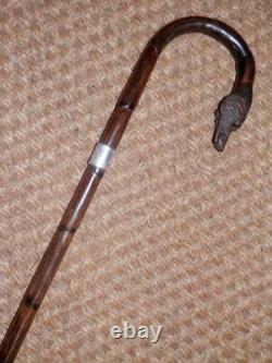Victorian Hand-Carved Wirehaired Pointer Walking Stick/Cane Hallmark Silver 1901