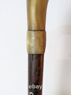Victorian Shepherds Crook Walking Stick Carved Rams Horn Handle Lanyard Hole