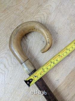 Victorian Shepherds Crook Walking Stick Carved Rams Horn Handle Lanyard Hole